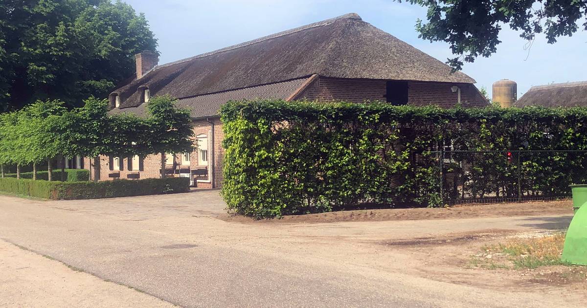 Reconstructie van fatale afterparty in Milheeze: drank en drugs als boosdoeners?
