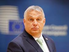 Kan een land dat zich niet aan EU-regels houdt toch EU-voorzitter worden? Parlement vindt van niet 