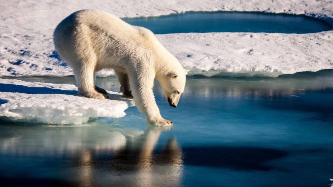 Slecht jaar voor de Noordpool: weer veel ijs verdwenen
