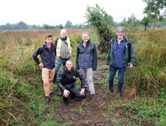 Europees project helpt Mechelaars af van natte voeten en hittestress: “Herstellen 320 hectare wetlands”