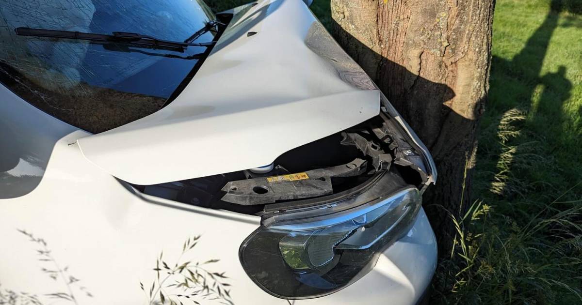 Bestelbus komt tegen boom tot stilstand na botsing in Lage Zwaluwe, drie gewonden | Drimmelen
