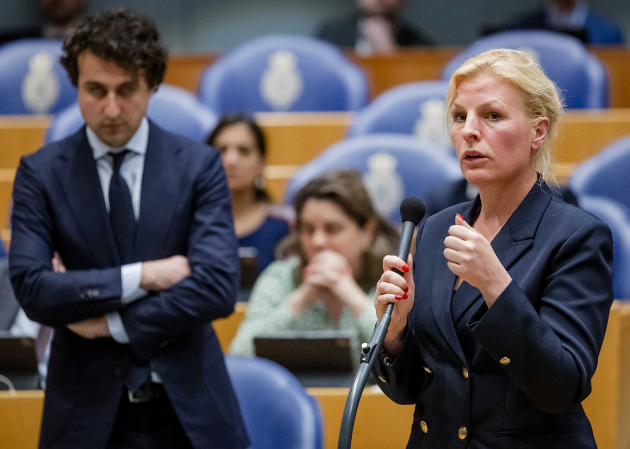 Meerdere oppositiepartijen steunen uitgaven voor stikstofmiljarden ‘in deze vorm’ niet Foto
