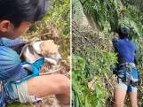 Hond gered van steile klif door vrijwilligers in Maleisië