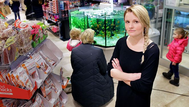 dierenzaak valt ook om dordrecht ad nl