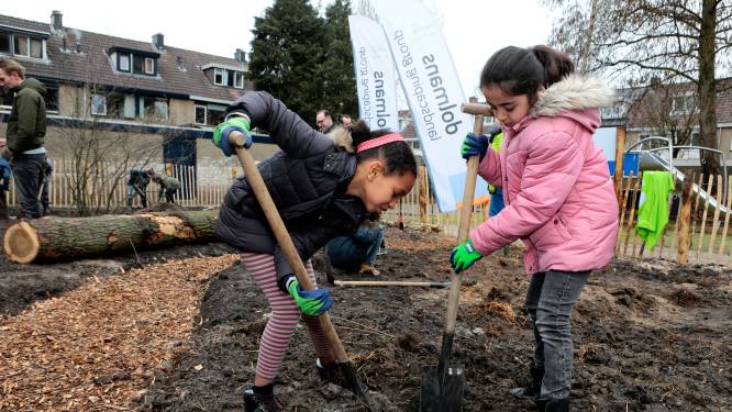 Plant je eigen minibos, gemeente Gorinchem zoekt hulp bij de aanleg ervan