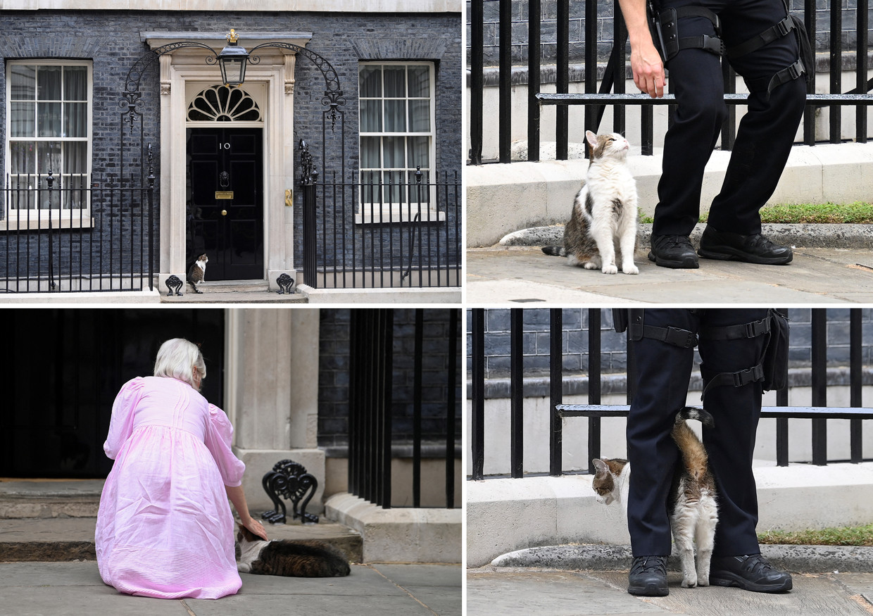 null Beeld Reuters en Getty