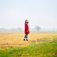 Wat doet landbouwgif met onze gezondheid? ‘Ons voedsel is veilig, krijgen we te horen, maar vaak is dat niet bewezen’
