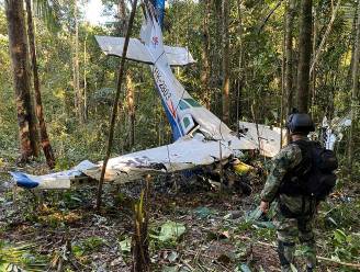 Hoe overleefden 4 kinderen vliegtuigcrash in Colombiaans regenwoud? Nieuw rapport stelt theorie voor
