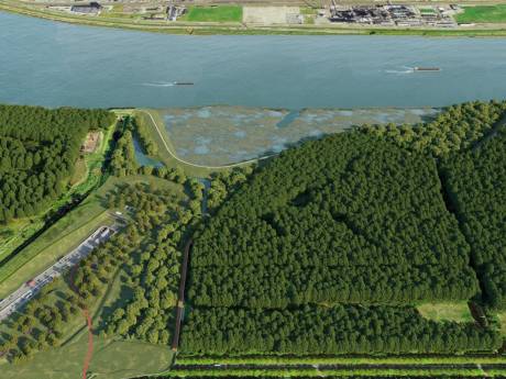 Milieuverenigingen krijgen ongelijk in zaak rond lozingsnormen Oosterweel