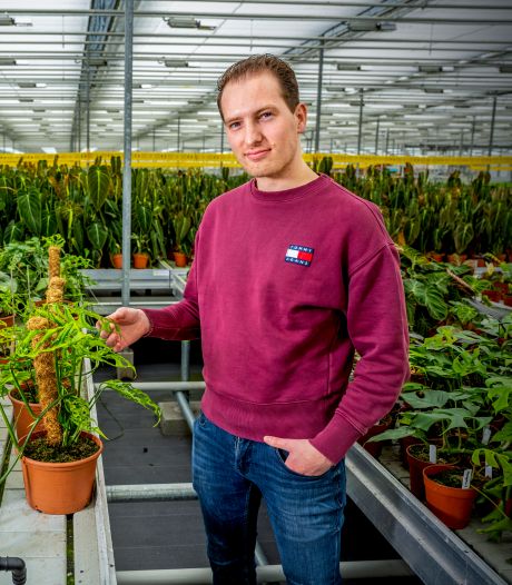 Jesse verkoopt kamerplanten voor 1000 euro: 'Verwacht dat ze alle twintig in één dag zijn verkocht’