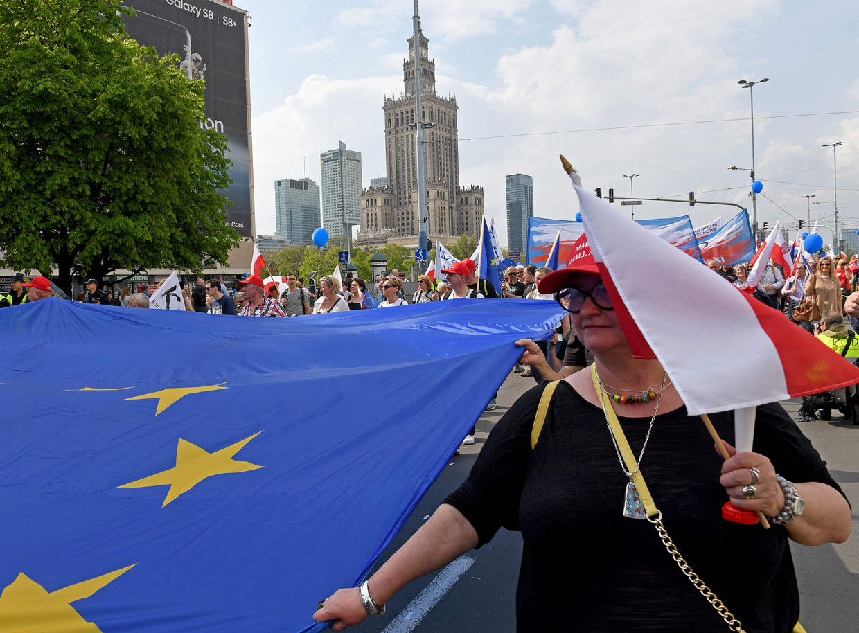 Sommige demonstranten zwaaiden met EU-vlaggen.  Beeld AFP