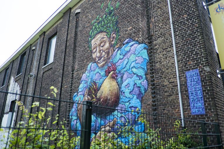 Op Stap Langs Graffiti Hotspots In Brussel Antwerpen En Gent De Morgen