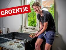 Kelvin (17) is gek op zijn schildpad Sjors: ‘Ik aai hem regelmatig over zijn schild’