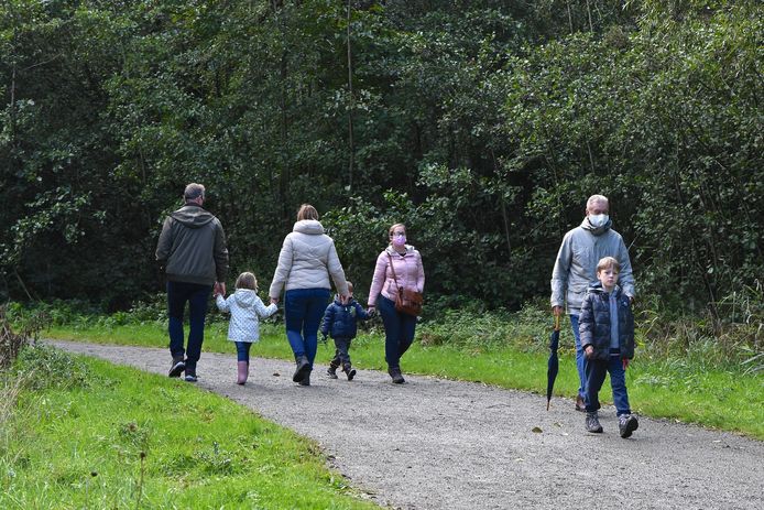 Wandelen in het Bergmolenbos.
