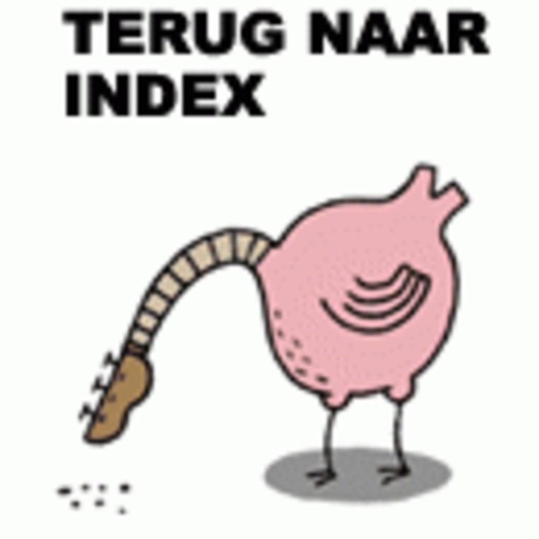 null Beeld 