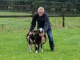 Boer Gerrit van de Steeg is er nog steeds ontdaan van: één van zijn 33 schapen viel ten prooi aan een wild jachtdier.