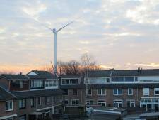 Den Haag wil betalen voor bomen rond de verguisde windmolen