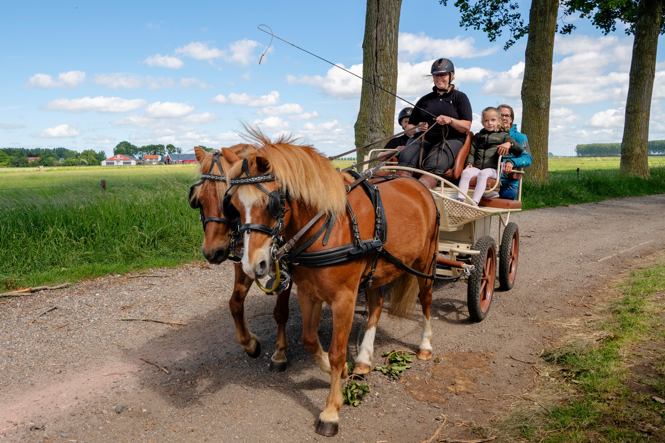 Tweelingzussen Patricia Goud (op de bok) en  Bianca van Liere (achteraan links) met twee gasten die een stukje meerijden tijdens de Paarden4Daagse in IJzendijke.