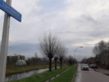 In deze straat is het afleveren van kerstkaarten een drama voor bezorgers: ‘Ik ben er niet gerust op’