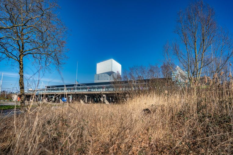 Een van de opties voor het erotisch centrum is een locatie bij de RAI in de buurt. Beeld Joris van Gennip