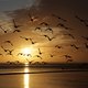 Evert Jan Prins bezocht alle 61 Waddeneilanden. ‘Enorm verschillend en toch zo hetzelfde’