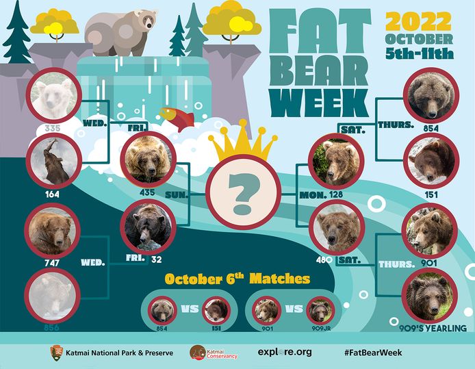 De stand van zaken op donderdag 6 oktober in de 'Fat Bear Week'-wedstrijd.
