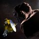 Een speeddate van kosmische proporties: ruimtesonde brengt verste bezoek ooit aan hemellichaam
