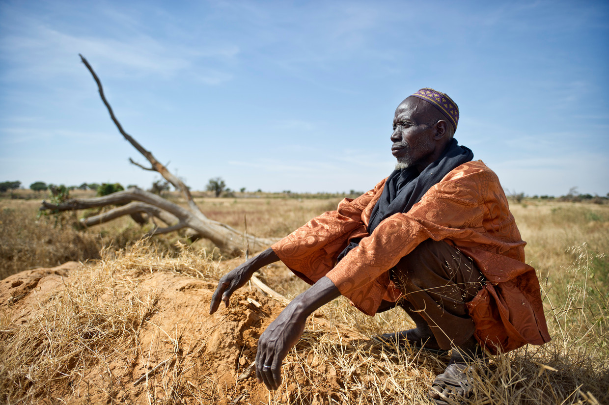 Boer in Mali kijkt uit over verschraalde landbouwgrond waar alle bomen zijn gekapt. 