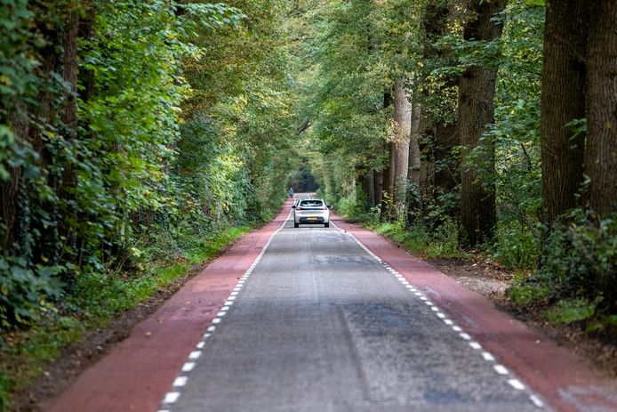 De Schoonhetenseweg tussen Mariënheem en Heeten.