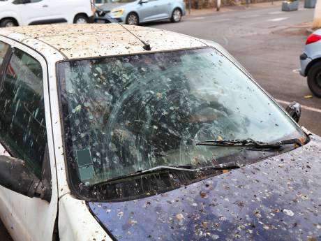 Vogelpoep en dode insecten van je auto verwijderen? Zo doe je dat zónder krassen 