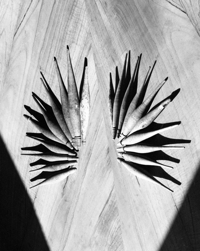  Coroa Radial Beeld Marco Maria Zanin, Courtsey SpazioNuovo 