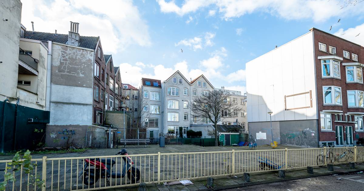 Fotograaf Menno Janssen: 'Ze willen deze mensen slopen ...