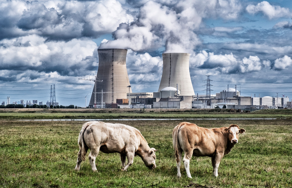 De kerncentrale van Doel. De laatste maanden rekenen energieleveranciers opvallend meer kosten aan in de contracten die ze aanbieden, stelt federaal energieregulator CREG vast. Beeld Tim Dirven
