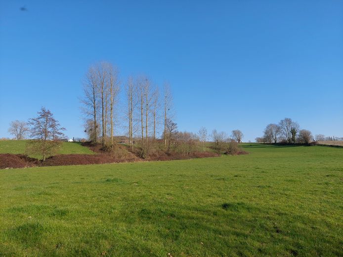 Maarkedal: natuur, ruimte, landschappen.
