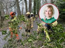 Moeten we nu extra alert zijn op omvallende bomen in Oldenzaal?: ‘Het is heel onvoorspelbaar’ 