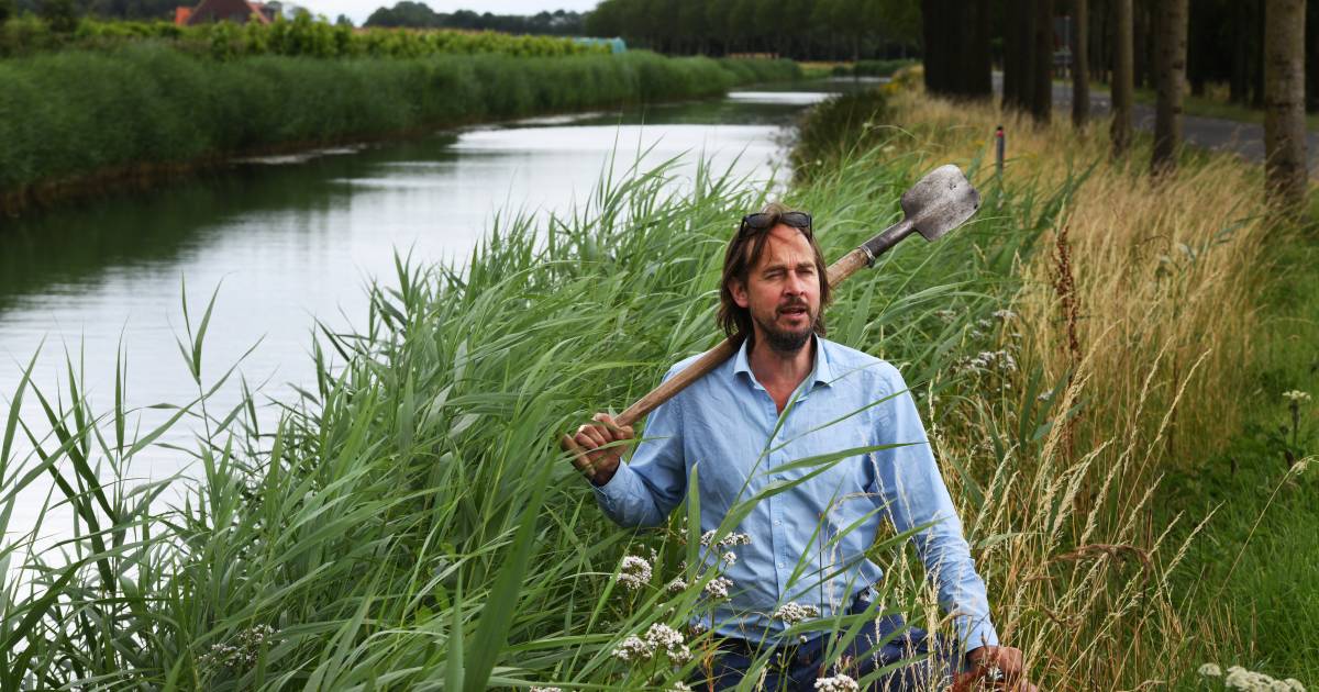 erik van loon heeft een plan waarmee rotterdam airport wel kan sluiten rotterdam ad nl