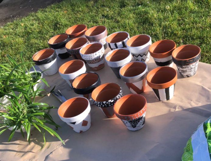 Potjes en plantjes