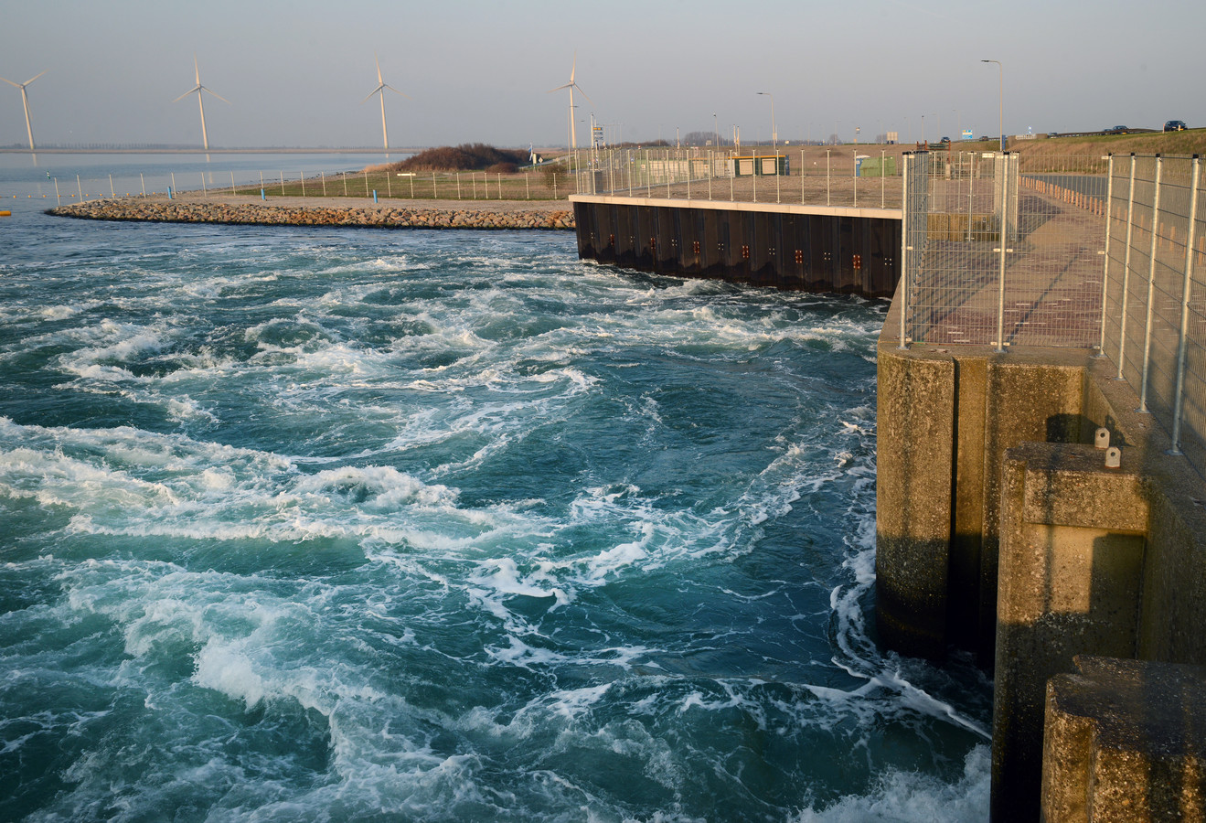 Grevelingen is ziek: ‘Snel vers water nodig’ | Foto | AD.nl