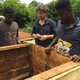Deze vruchtensap kan cacaoboeren extra inkomsten geven