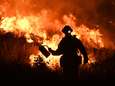Verschillende bosbranden teisteren nog steeds Amerikaanse westkust: duizenden brandweerlieden ingezet