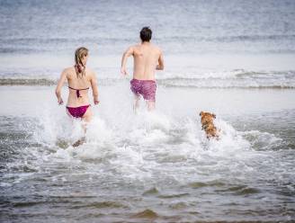 WEERBERICHT. Hittegolf gaat vandaag van start en zal 8 tot misschien zelfs 12 dagen duren: dit weekend temperaturen tot wel 35 graden