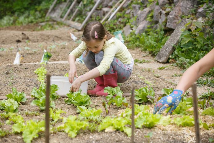 Je Tuin Onderhouden In Tijden Van Waterschaarste Zo Pak Je Het Aan Tuintips Ad Nl