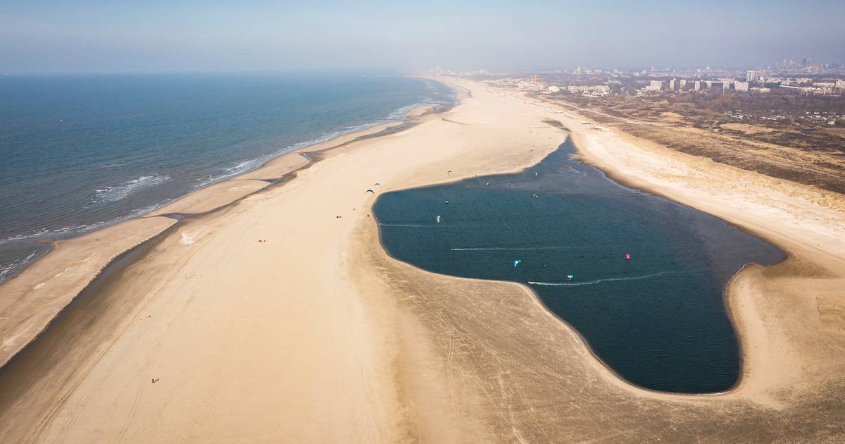 Zandmotor moet een groen strand worden: ‘Neem je verrekijker mee ...