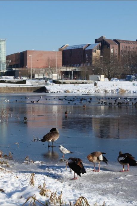 Le lac de Louvain-la-Neuve sondé suite à la disparition d'un étudiant