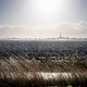 Holwerd moest een vogelwalhalla worden aan de Waddenzee, maar ineens krabbelt Friesland terug