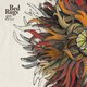 Bed Rugs - 8th Cloud