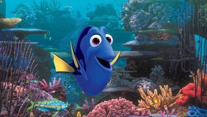 Finding Dory is leuk, maar laat echte visje met rust! | Nieuws | AD.nl