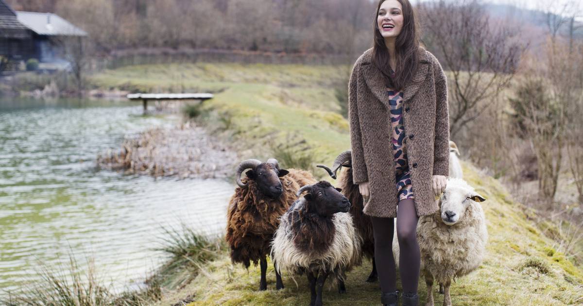 Schapen wollen truien shop