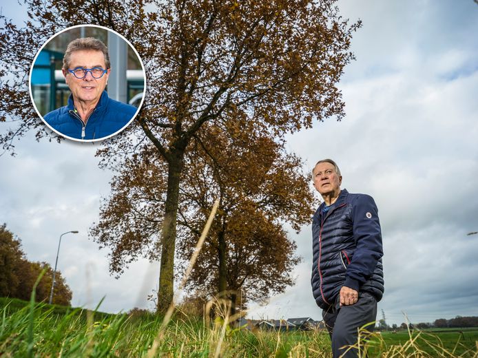 Volgens dorpsraadsvoorzitter Johan Horst staat het plan om bomen die moeten verdwijnen van de Kanaaldijk in Wapenveld te herplanten in Epe haaks op het beleid dat de gemeente Heerde eerder voerde. Statenlid Hans van Ark (inzet) wil dat nog eens goed naar dit plan wordt gekeken.