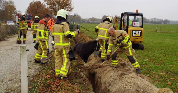 Pony muurvast in glasvezelsleuf in Breedenbroek